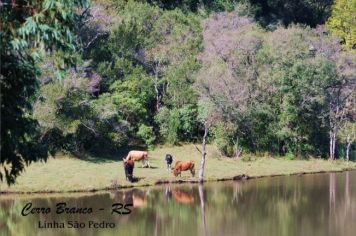 Foto - Belezas de Cerro Branco 